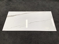 Kutahya albatros gepolijst 60x120 cm tegel 103,68 m² - afbeelding 6 van  6