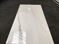 Kutahya albatros gepolijst 60x120 cm tegel 103,68 m² - afbeelding 2 van  2