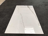 Kutahya albatros gepolijst 60x120 cm tegel 103,68 m² - afbeelding 1 van  5