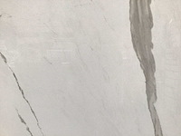 Kutahya albatros gepolijst 60x120 cm tegel 103,68 m² - afbeelding 3 van  6