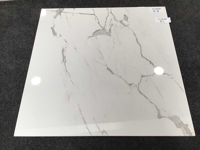 Kutahya albatros gepolijst 60x60 cm tegel 108 m² - afbeelding 5 van  5