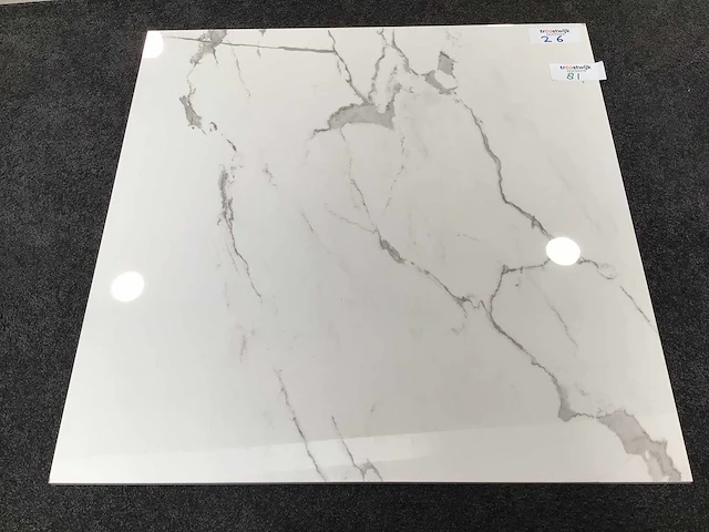 Kutahya albatros gepolijst 60x60 cm tegel 54 m² - afbeelding 5 van  5