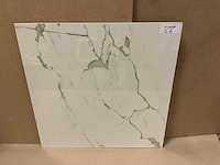 Kutahya albatros gepolijst 60x60 cm vloertegel 108 m²