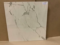 Kutahya albatros gepolijst 60x60 cm vloertegel 108 m² - afbeelding 3 van  3