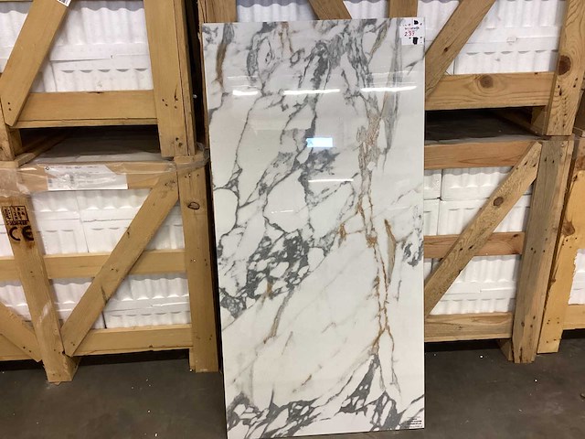 Kutahya espadon gepolijst 60x120 cm tegel 60,48 m² - afbeelding 1 van  12