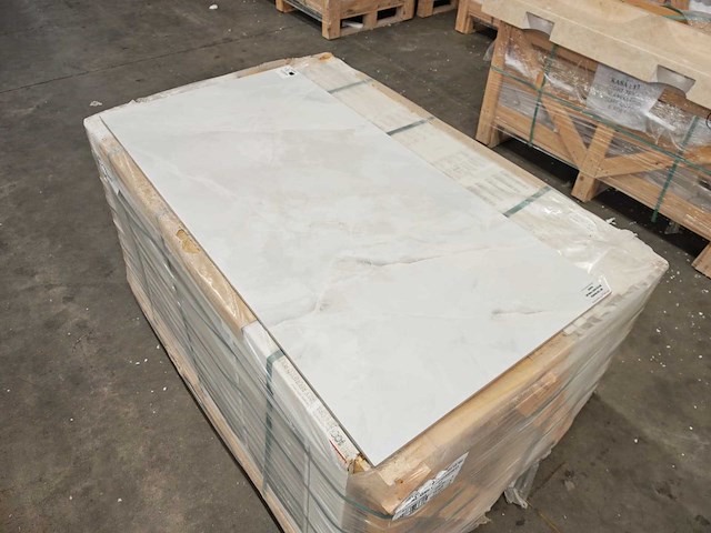 Kutahya marea white gepolijst 60x120 cm tegel 41,04 m² - afbeelding 3 van  7