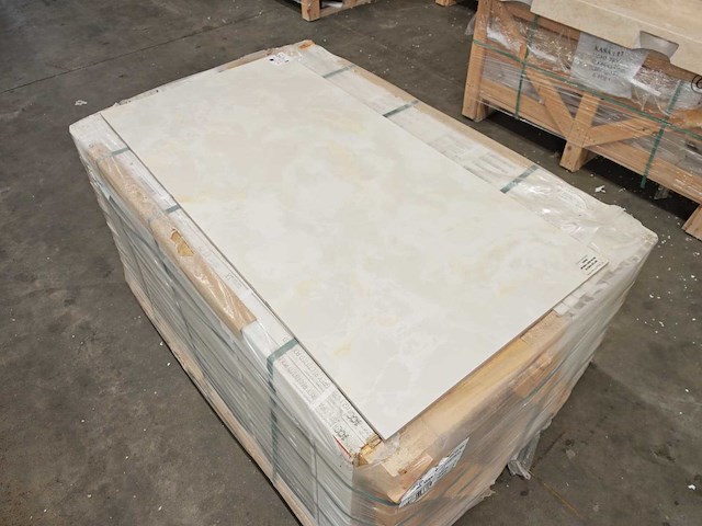 Kutahya onelya white gepolijst 60x120 cm tegel 60,48 m² - afbeelding 11 van  11