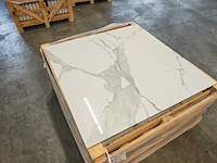 Kutahya statu gepolijst 120x120 cm tegel 57,6 m² - afbeelding 1 van  7