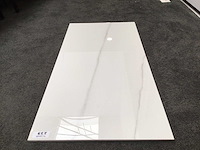 Kutahya statuario gepolijst 60x120 cm tegel 103,68 m² - afbeelding 6 van  6
