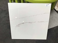 Kutahya statuario gepolijst 60x60 cm tegel 108 m² - afbeelding 1 van  4