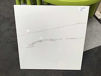 Kutahya statuario gepolijst 60x60 cm tegel 162 m²