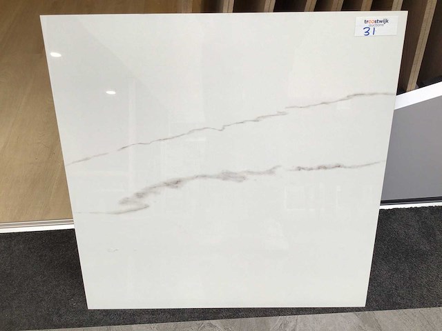 Kutahya statuario gepolijst 60x60 cm tegel 162 m² - afbeelding 4 van  4