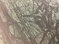 Kutahya verde lappato 60x120 cm tegel 120,96 m² - afbeelding 11 van  13