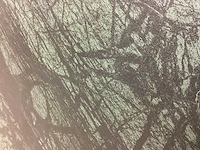 Kutahya verde lappato 80x160 cm xxl tegel 51,2 m² - afbeelding 7 van  13