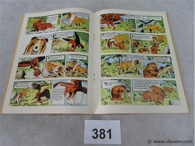 Kwang, de bergbever - afbeelding 2 van  3