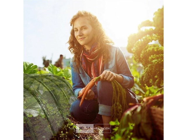 Kweektunnel - afbeelding 2 van  7