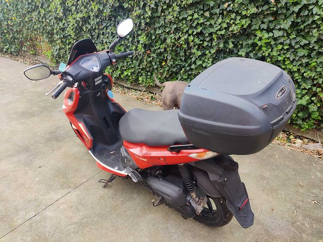 Kymco - super 8 - light mopeds & light motorised scooters - afbeelding 2 van  7