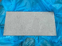 La platera milestone grey vloertegel (120x) - afbeelding 1 van  3