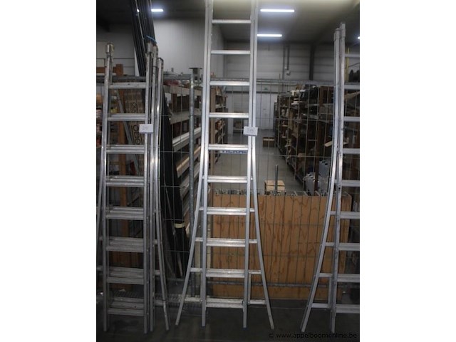 Ladder 2x10 sporten - afbeelding 1 van  1