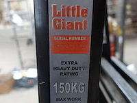 Ladder little giant - afbeelding 3 van  3