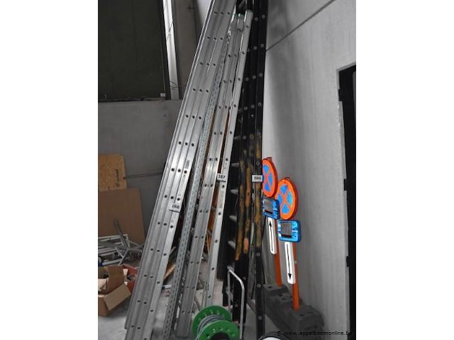 Ladder vv 3x12 sporten, petry, rlv 312 - afbeelding 1 van  2