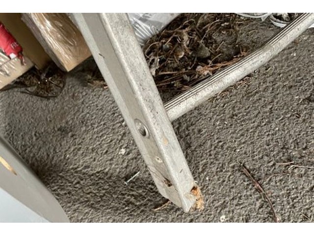 Ladder - afbeelding 3 van  4