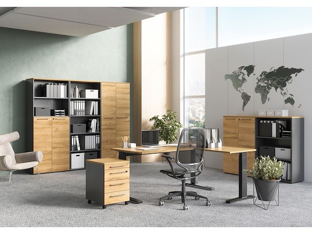 Lage archiefkast osmond 80cm met 2 deuren - eik/grafiet - afbeelding 3 van  5