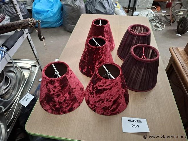 Lampekapjes - afbeelding 1 van  1