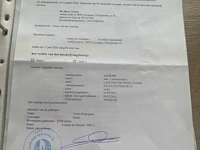 Land rover freelander 2011 - afbeelding 19 van  27