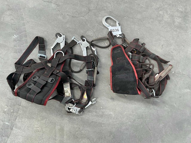 Lanex lx2 veiligheidsharnas (2x) - afbeelding 1 van  6