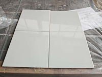 L'antic colonial metropolitan seagreen glans wandtegel 20x20 cm 26,4 m² - afbeelding 1 van  2