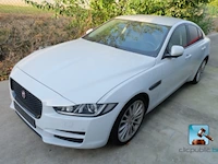 Le roi du cuberdon srl jaguar xe en apparatuur voor de voedingsmiddelenindustrie