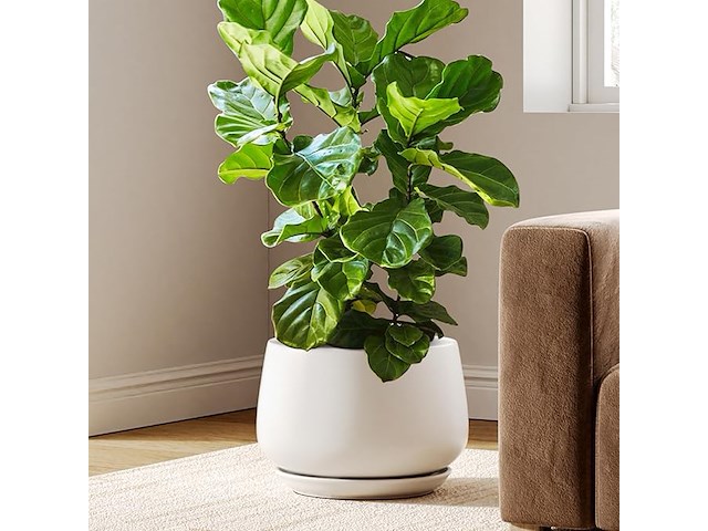 Le tauci keramische bloempot (30 cm) - afbeelding 1 van  3