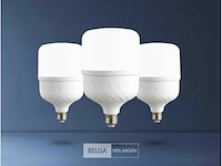 Led lamp – e27 – 48w – 6500k – koud wit (x10) - afbeelding 1 van  4