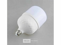 Led lamp – e27 – 48w – 6500k – koud wit (x10) - afbeelding 3 van  4