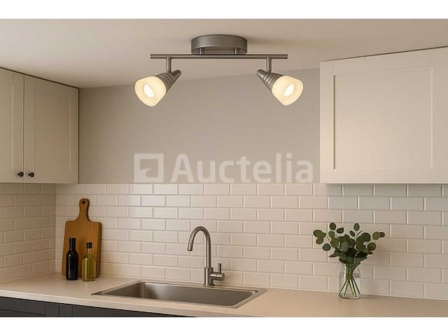 Led plafondlamp - 2 spots - di03 - 2 x 5w zilver (x4) - afbeelding 1 van  4