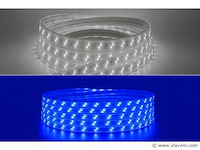 Led strip 25m – blauw & koud wit – ip65 waterdicht (x1) - afbeelding 1 van  5