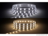 Led strip 25m – wit & warm wit – ip65 waterdicht (x1) - afbeelding 1 van  5