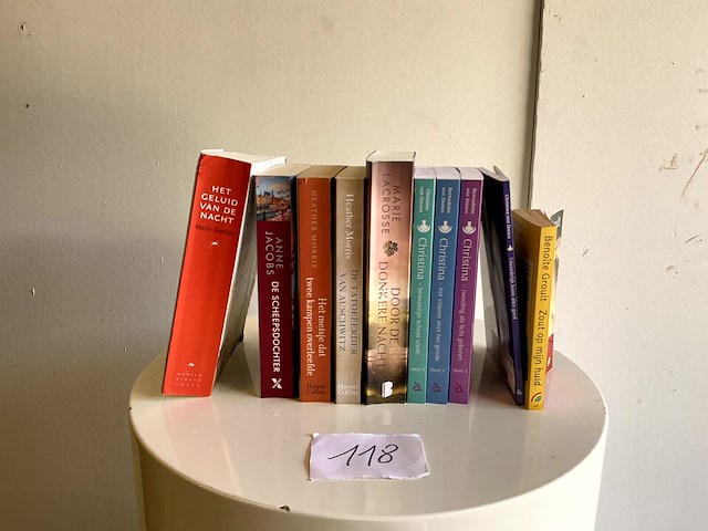 Leesboeken: romans - afbeelding 1 van  1