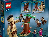 Lego - het verboden bos: omber's ontmoeting met groemp - harry potter - afbeelding 2 van  4