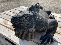 Leguaan h33cm x l100cm - afbeelding 2 van  3