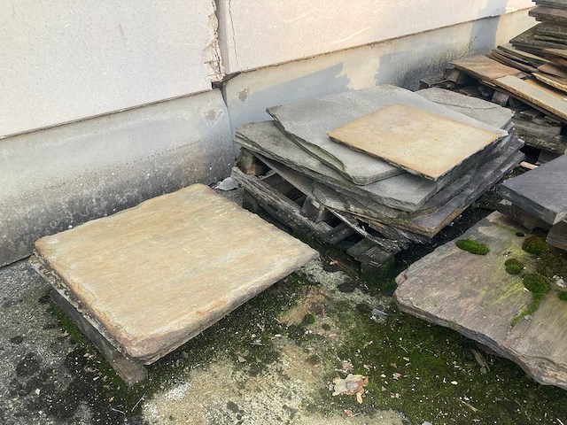 Leisteen - kwartsiet - afbeelding 7 van  12