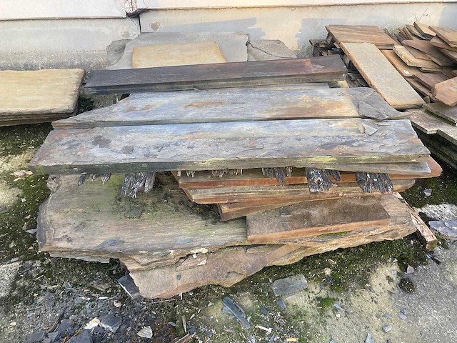 Leisteen - kwartsiet - afbeelding 8 van  12