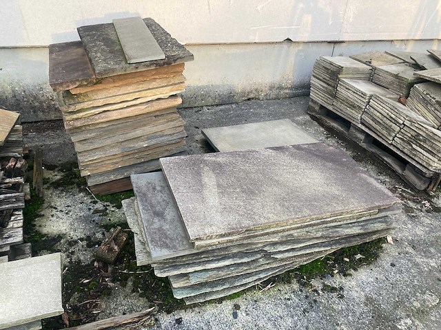 Leisteen - kwartsiet - afbeelding 10 van  12