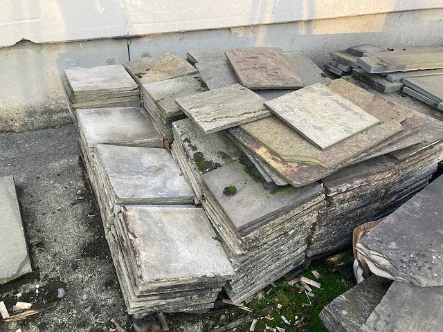 Leisteen - kwartsiet - afbeelding 11 van  12