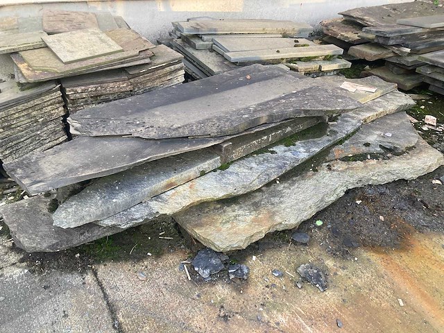 Leisteen - kwartsiet - afbeelding 12 van  12