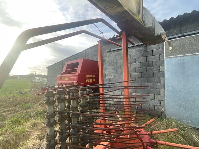 Lely hibiscus 461 volgde rake - afbeelding 2 van  12