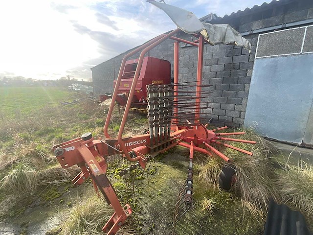 Lely hibiscus 461 volgde rake - afbeelding 5 van  12