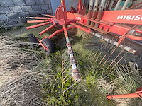 Lely hibiscus 461 volgde rake - afbeelding 7 van  12