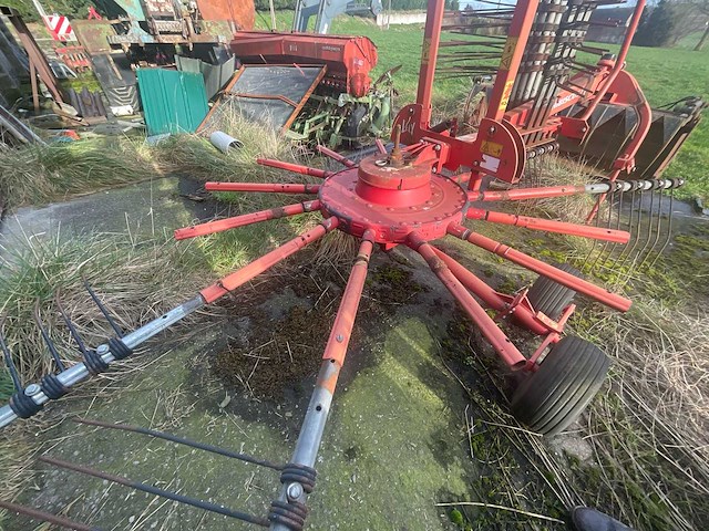 Lely hibiscus 461 volgde rake - afbeelding 8 van  12